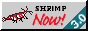 smallharlequinf.png