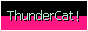 thundercat.gif