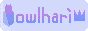 owlhari.gif