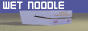 wetnoodle.gif