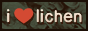button-lichen.png