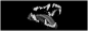 maw_.png