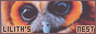 archived 88x31 button #56666