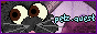 petzquest.png