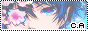 archived 88x31 button #56850