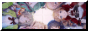 cozy-angels.png