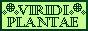 viridiplantae.jpg