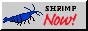 bigbluedreamf.png