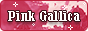 pgbutton.gif