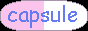 capsule.png