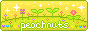 peachnuts_2.gif