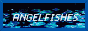 angelfishes.png