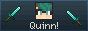 quinn.gif