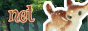 networkcat3003.gif