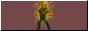 skkad.neocities.org.png