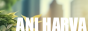 XfiMdBl.png