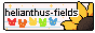 helianthusfields_2.png