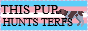 THIS-PUP-HUNTS.png