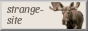eyyzFc.gif