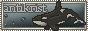 btn00474.png