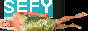 sefy.png