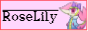 roselily.png