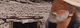 jermabottleloop.gif