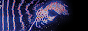 vi.png