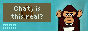 monkeynews.gif