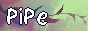 pip-pepping_4.gif