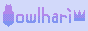 31.png