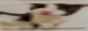 soggy.png