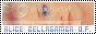archived 88x31 button #58319