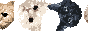rolling-b1.gif