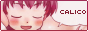 calico.png