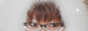 botan3.gif