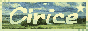 cirice.gif