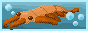 anomalocaris.gif
