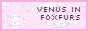 venusinfoxfurs_4.png