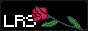 lastrose.gif