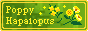 icon.png