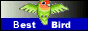 birdsite.gif