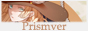 1545651211-default.jpg