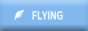 flying.gif