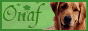 archived 88x31 button #58847