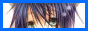archived 88x31 button #58924