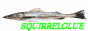 squirrelglue.png