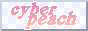 cyberpeach.png