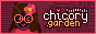 chicory.garden.png