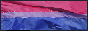 bisexual